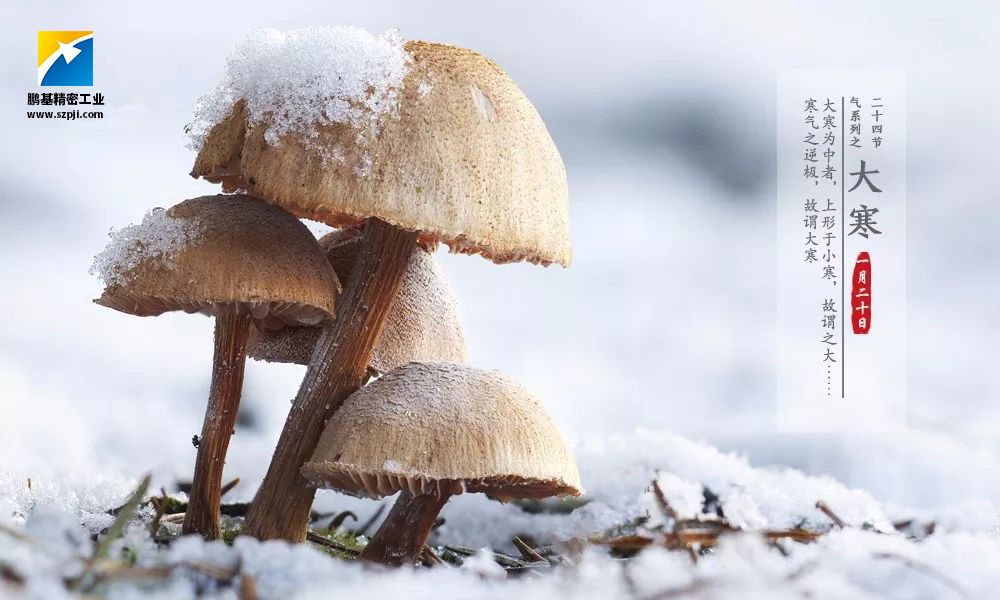 大寒，唯美冰雪迎新春！
